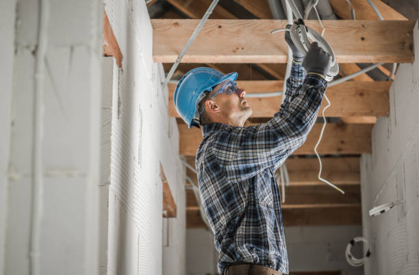 Best Local Electrician Companies  in Pflugerville, TX